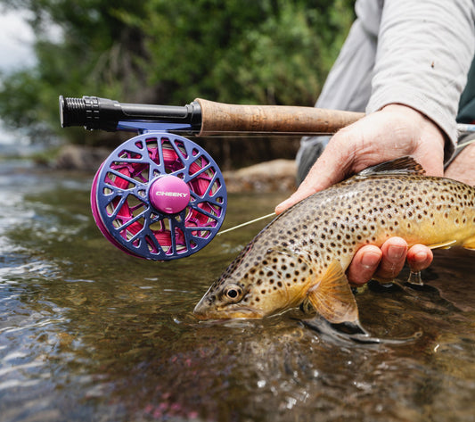 Why you should book a guided fly fishing trip while visiting Denver.