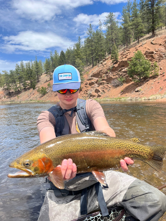 Best flies for cheesman canyon and current river report