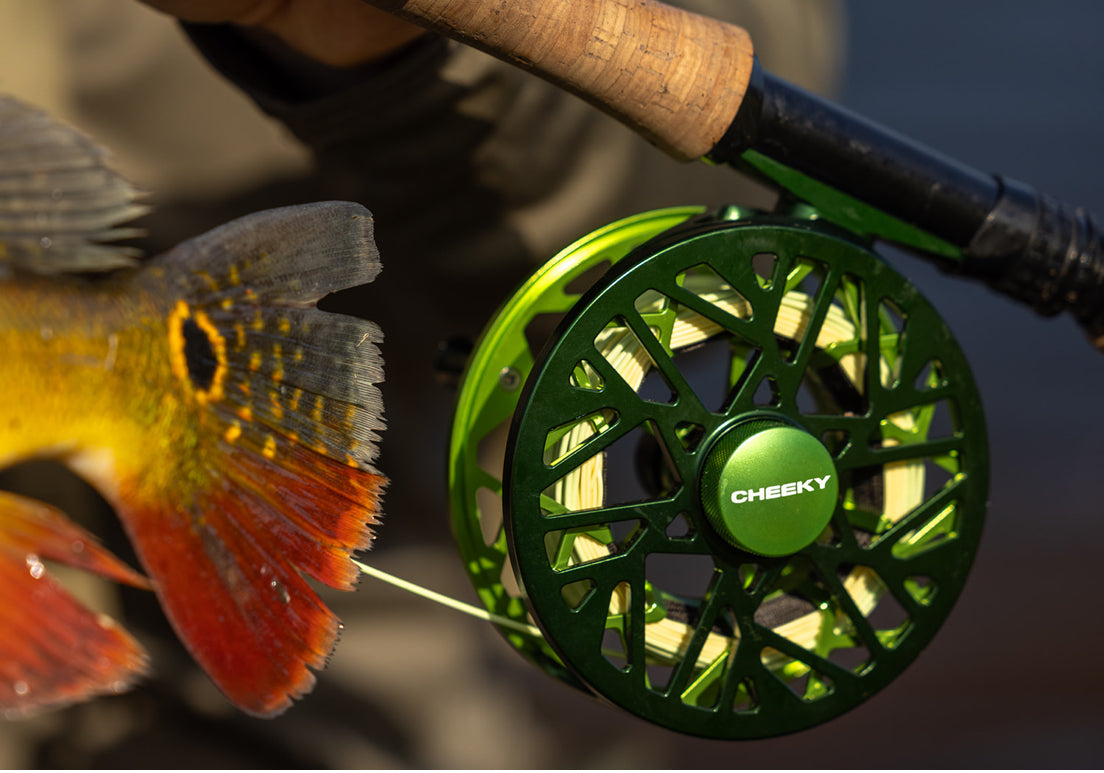 Cheeky burst fly reel series