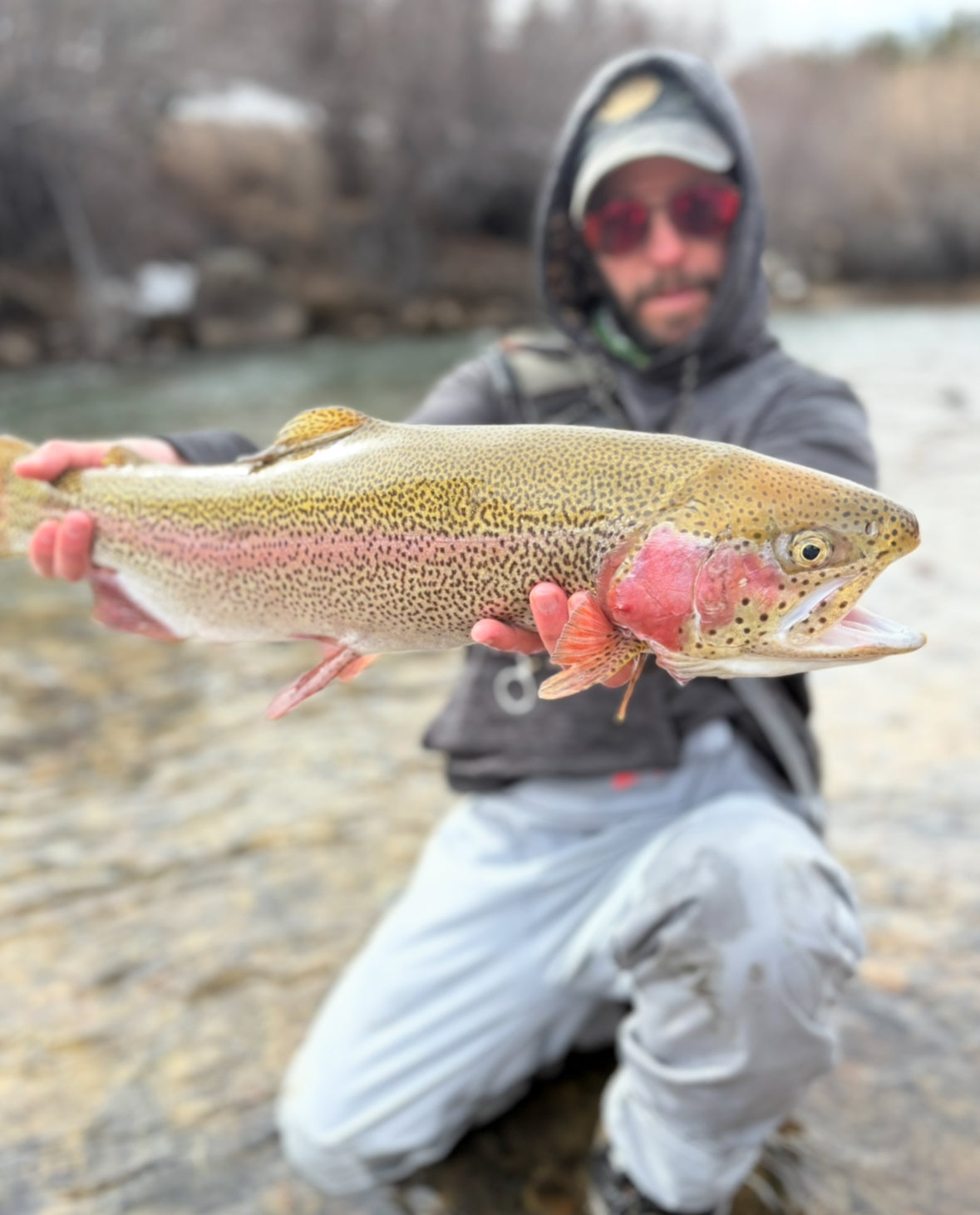 Guided Fly Fishing Trips Half Day or Full Day Tours