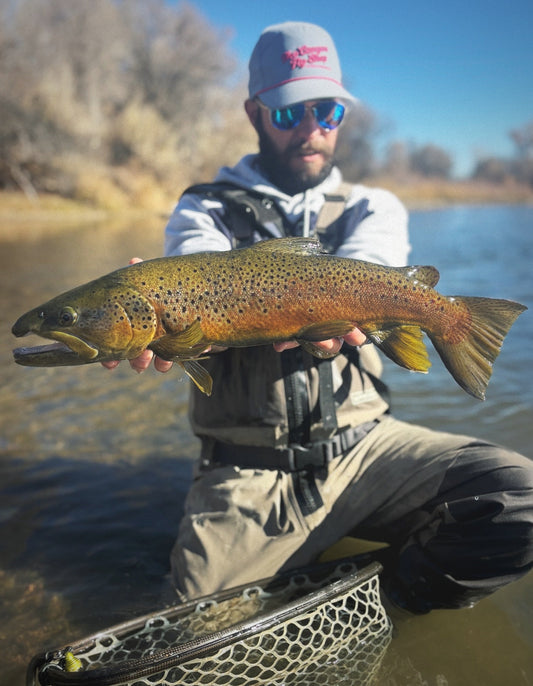 Are Paramount waders changing the game?