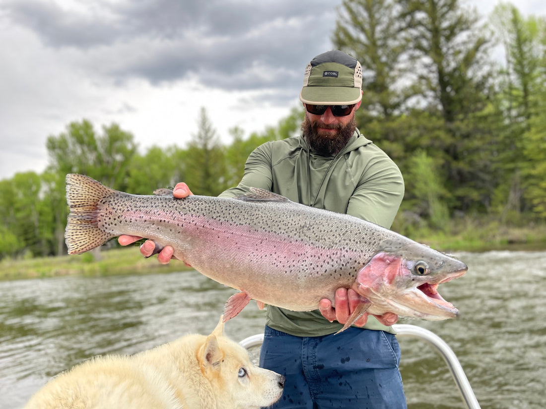 River Reports- The Canyon Fly Shop updates on Deckers, Blue River, Che
