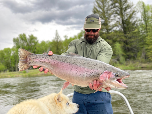 River Reports- Cheesman Canyon, Deckers, Clear Creek, Boulder Creek, Blue River