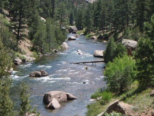 Is Cheesman Canyon the pinnacle of fly fishing in the United States?