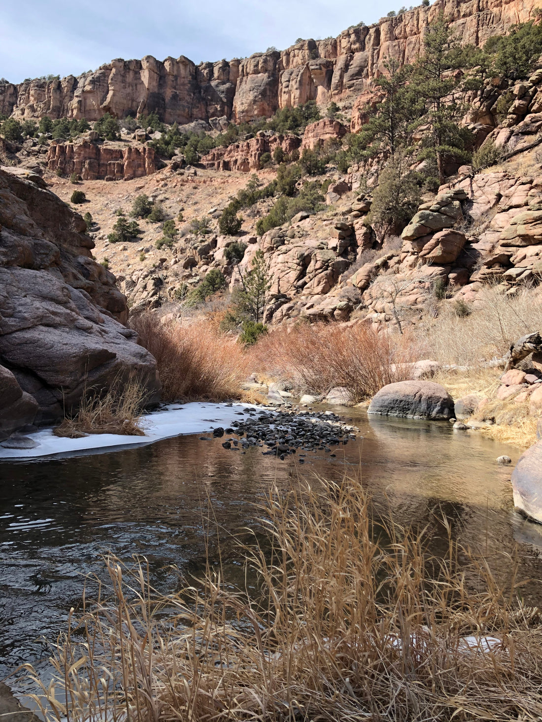 Finding the perfect fishing spot.