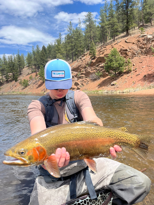 Does low water mean bad fishing?