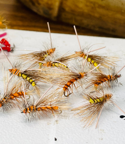 Guide’s choice dozen flies