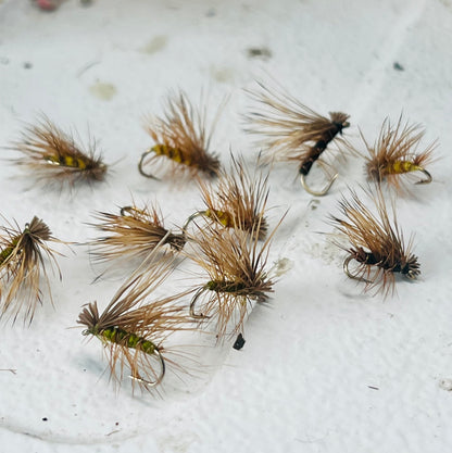 Guide’s choice dozen flies