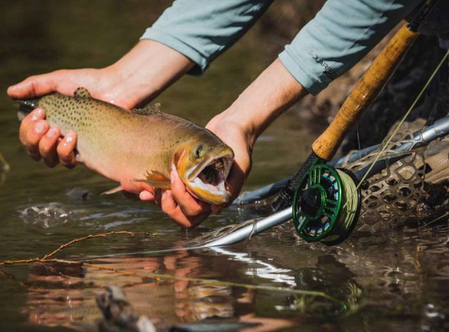 Cheeky Launch Fly reel series