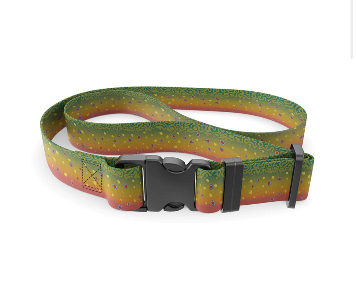 Wading belt from wings outdoors