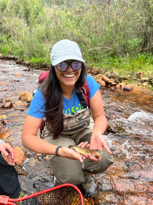 Guided Fly Fishing Trips Half Day Tour